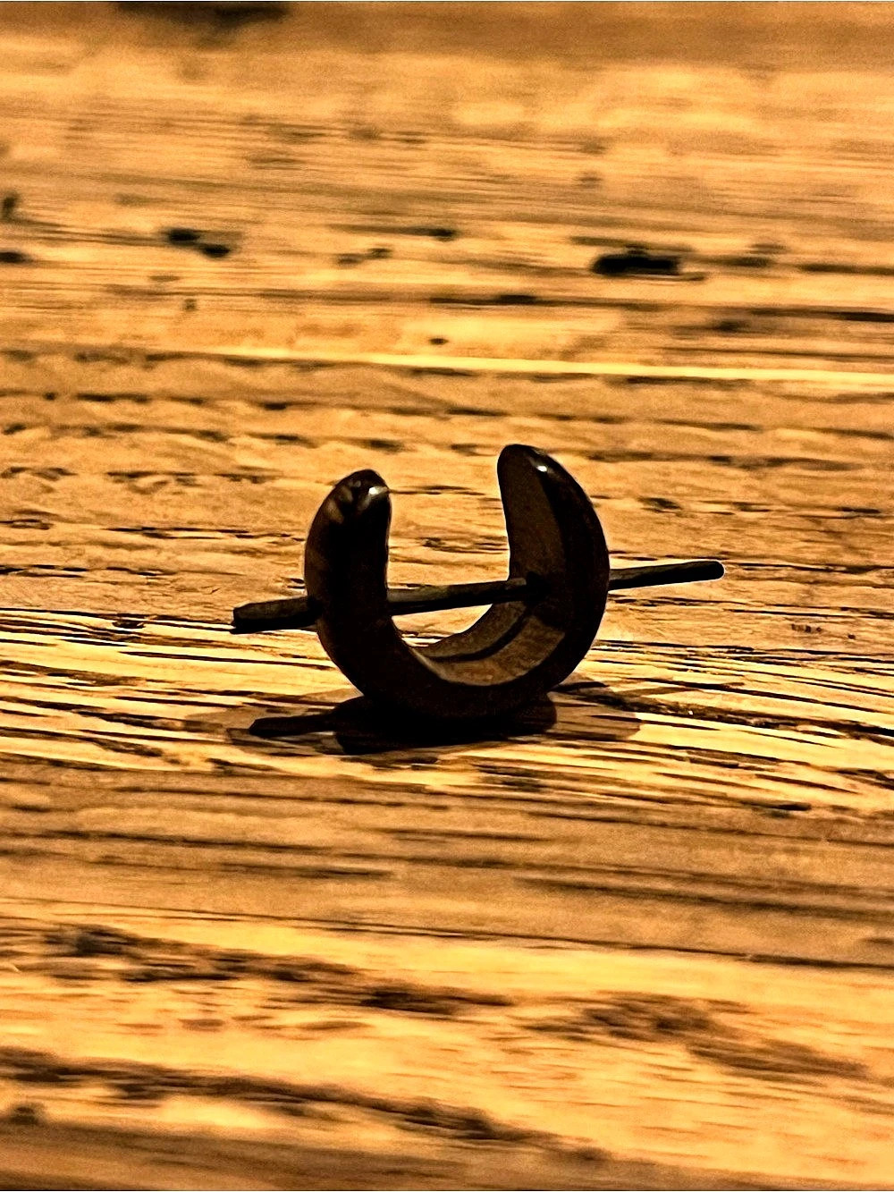 Septum Piercing